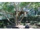 17 Anderson Road, Glass House Mountains QLD 4518