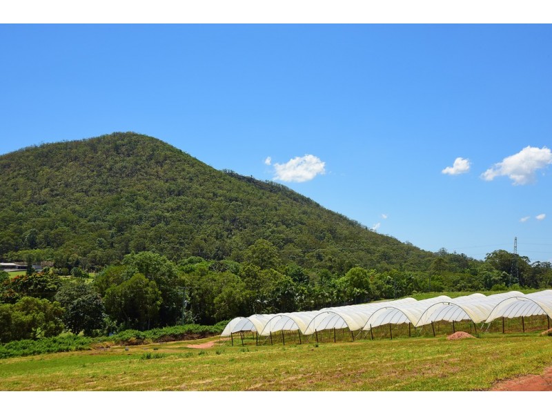 12/20 Crumpton Place, Beerwah QLD 4519