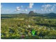 5 Knowles Place, Glass House Mountains QLD 4518