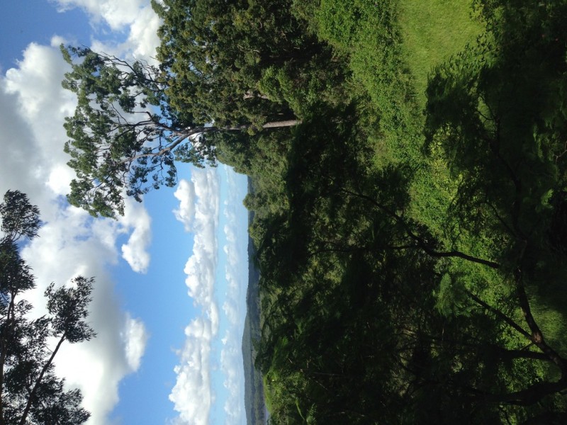 288 Tunnel Ridge Rd, Mooloolah Valley QLD 4553