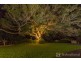 20 London Creek Road, Peachester QLD 4519