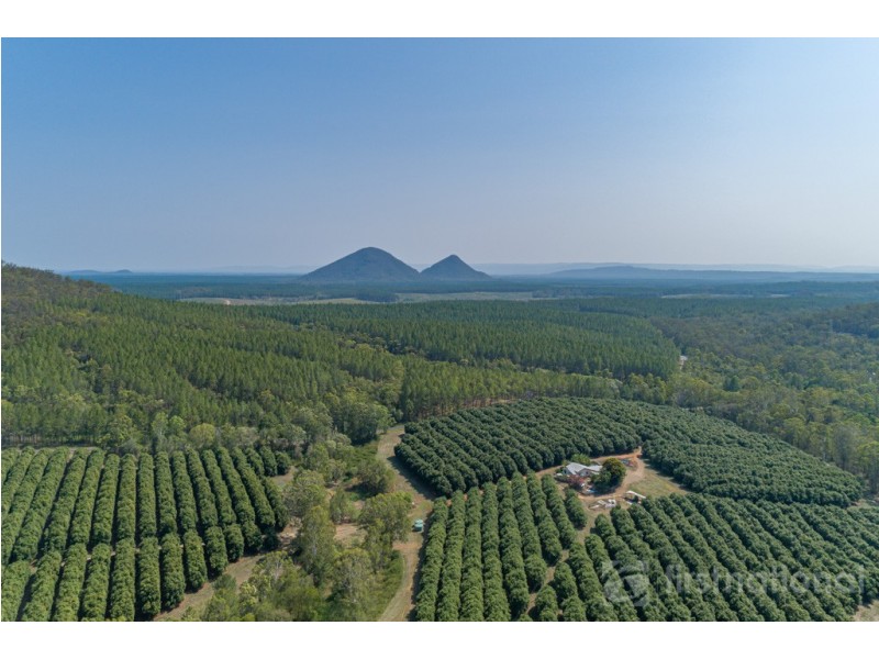 259 Coonowrin Road, Glass House Mountains QLD 4518