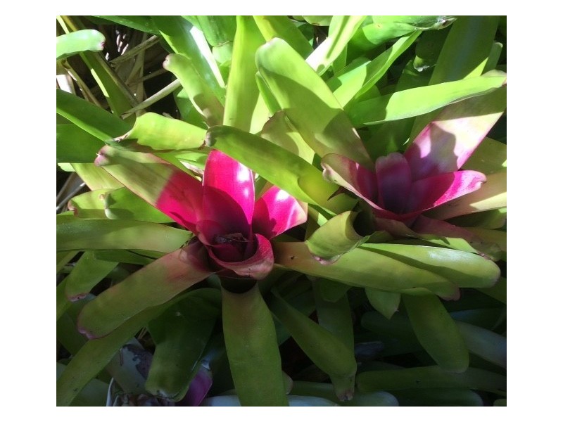 204 Glass House-Woodford Road, Glass House Mountains QLD 4518