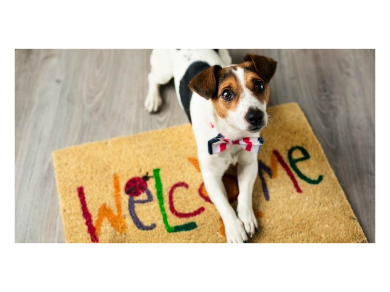 Lot 8 20 Crumpton Place “MILLBROOK”, Beerwah QLD 4519