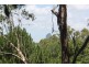 666 Peachester Road, Beerwah QLD 4519