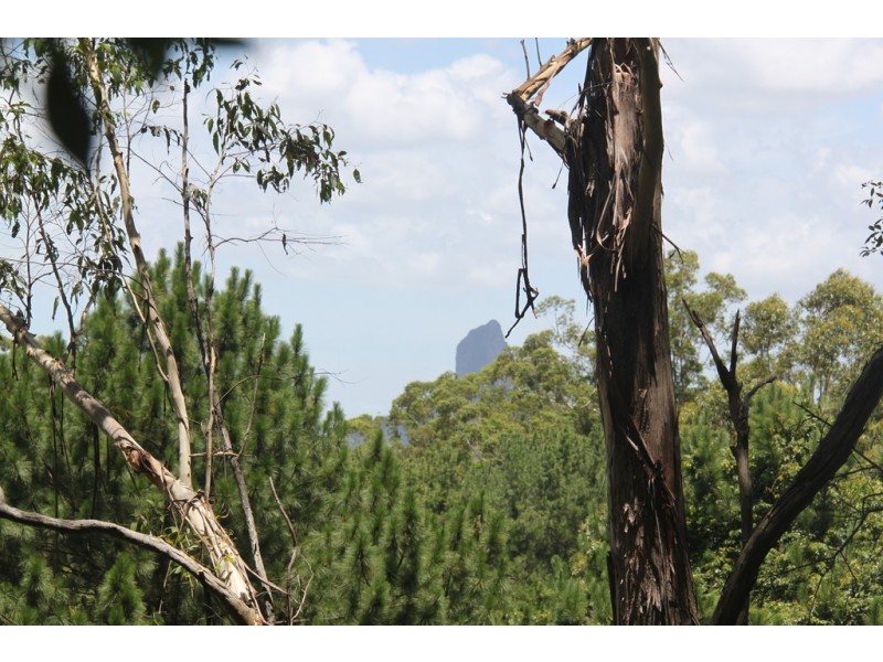 666 Peachester Road, Beerwah QLD 4519