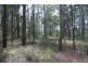 666 Peachester Road, Beerwah QLD 4519