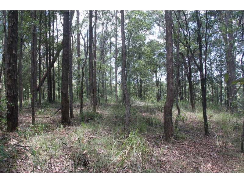666 Peachester Road, Beerwah QLD 4519
