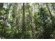 666 Peachester Road, Beerwah QLD 4519