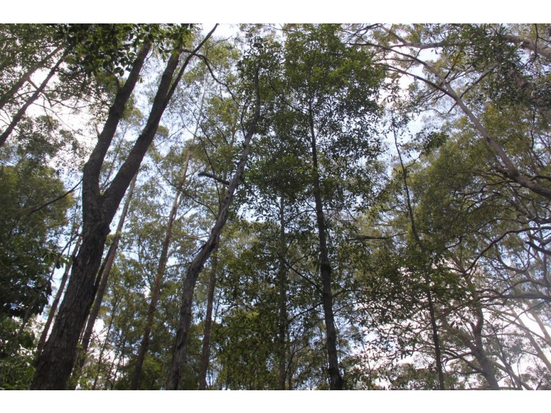 666 Peachester Road, Beerwah QLD 4519