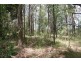 666 Peachester Road, Beerwah QLD 4519