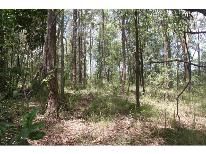 666 Peachester Road, Beerwah QLD 4519