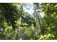 666 Peachester Road, Beerwah QLD 4519