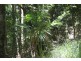 666 Peachester Road, Beerwah QLD 4519