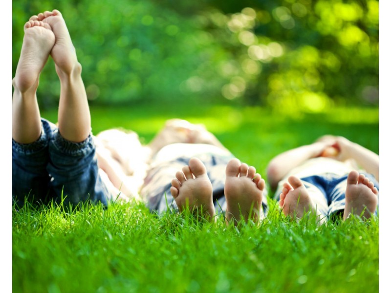 Lot 6 9 Roxton Court, Beerwah QLD 4519