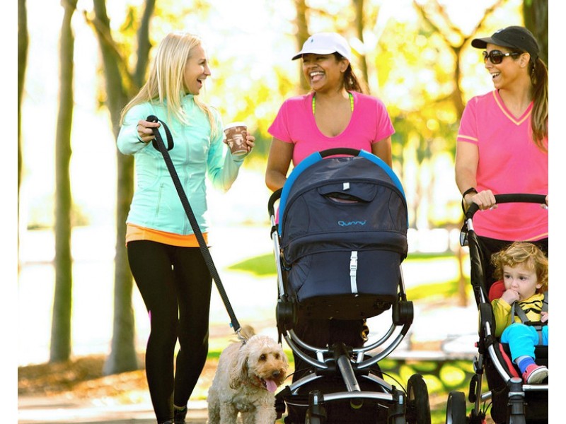 9 Roxton Court  “ROXTON MEADOWS”, Beerwah QLD 4519