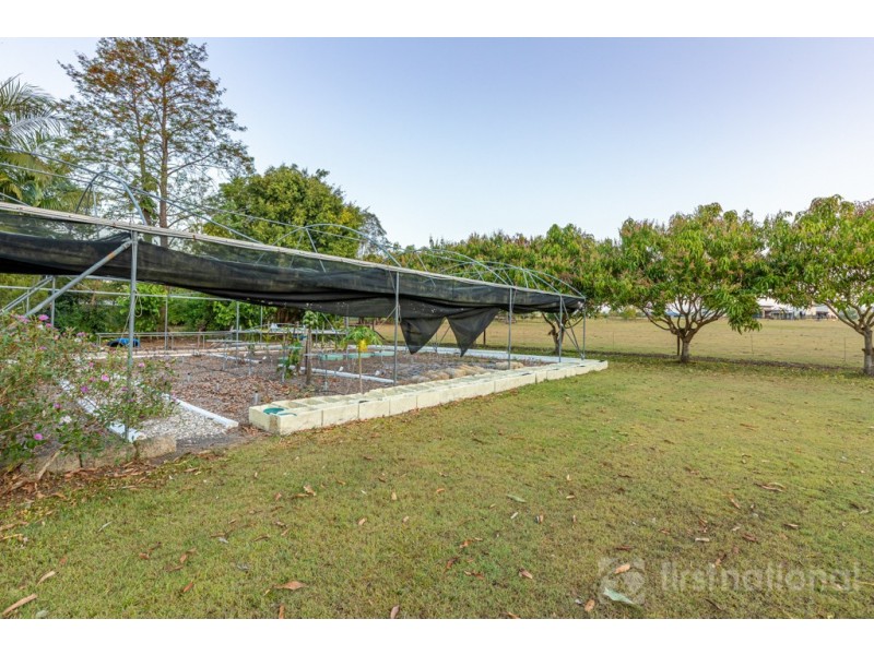 51 Back Creek Road, Glass House Mountains QLD 4518