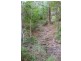 Lot 1/101 Lindeman Road, Beerwah QLD 4519