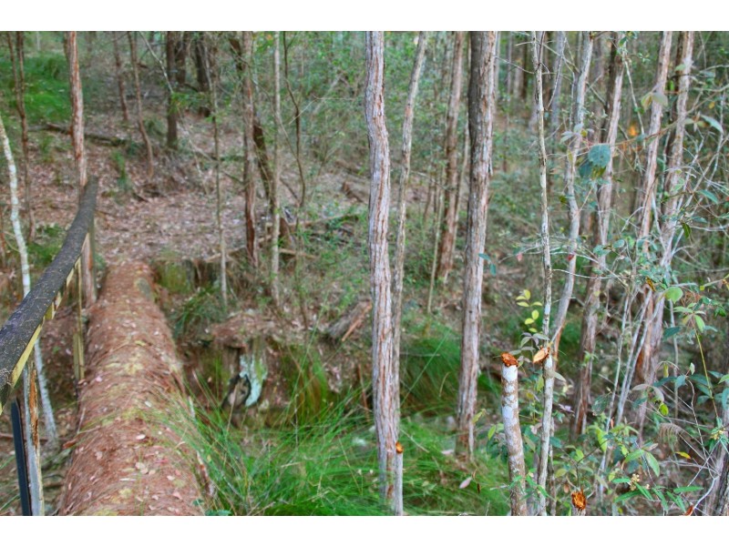 Lot 1/101 Lindeman Road, Beerwah QLD 4519