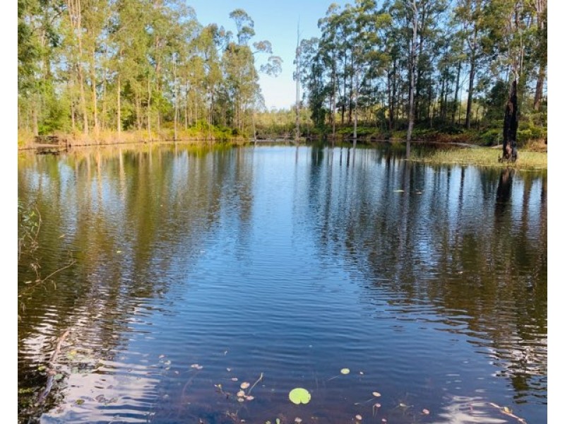 36 Thompson Road, Beerwah QLD 4519