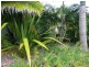70/466 Steve Irwin Way, Beerburrum QLD 4517