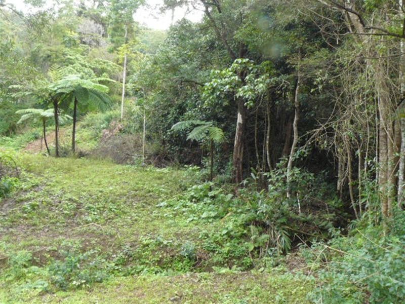 1179 Kilcoy-Beerwah Road, Woodford QLD 4514