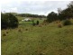 1179 Kilcoy-Beerwah Road, Woodford QLD 4514
