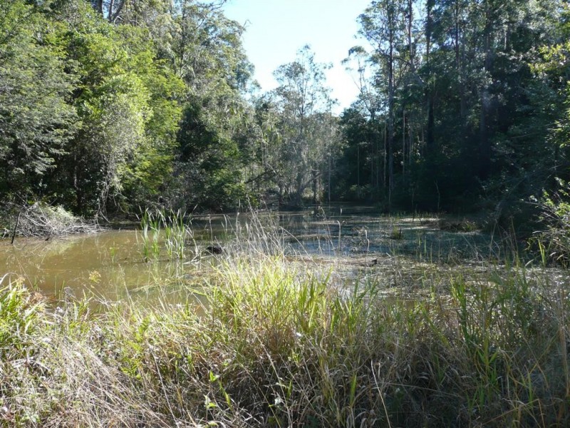 Lot 570 Gowens Road, Peachester QLD 4519