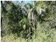 Lot 570 Gowens Road, Peachester QLD 4519