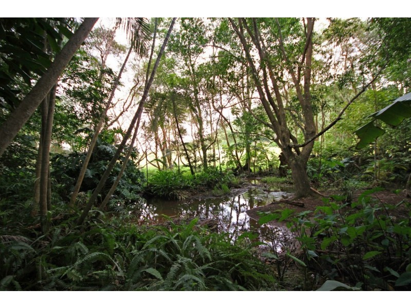 31 Lindeman Road, Beerwah QLD 4519