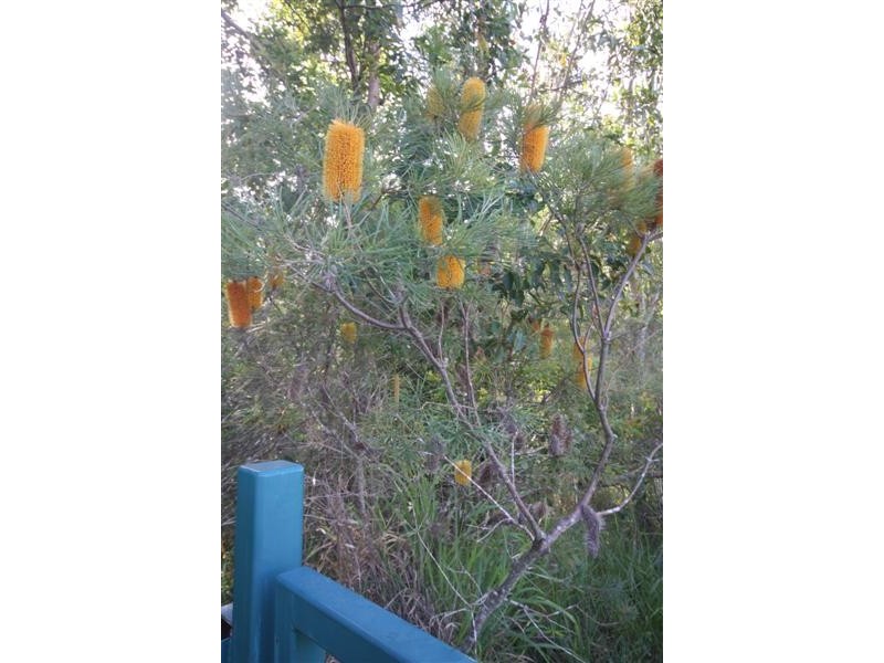 Lot 17 Lachlan Crescent, Beerwah QLD 4519