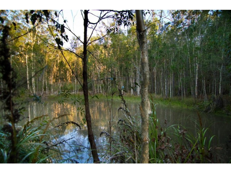 2314 Steve Irwin Way, Landsborough QLD 4550