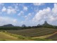 32 Stokes Road, Beerwah QLD 4519