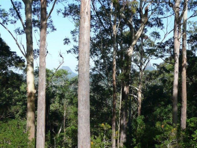 42 Julian Street, Peachester QLD 4519