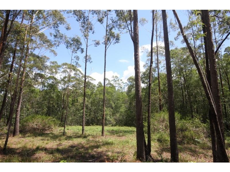 Lot 46 Storrs Road, Peachester QLD 4519