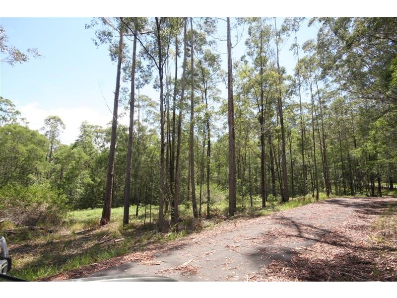 191 (Lot 45) Storrs Road, Peachester QLD 4519