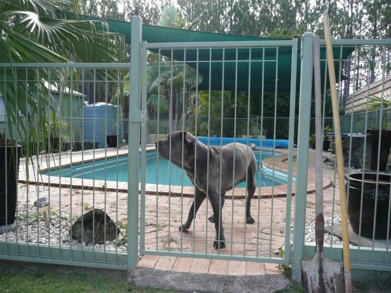 23 Cobb and Co Drive, Beerburrum QLD 4517