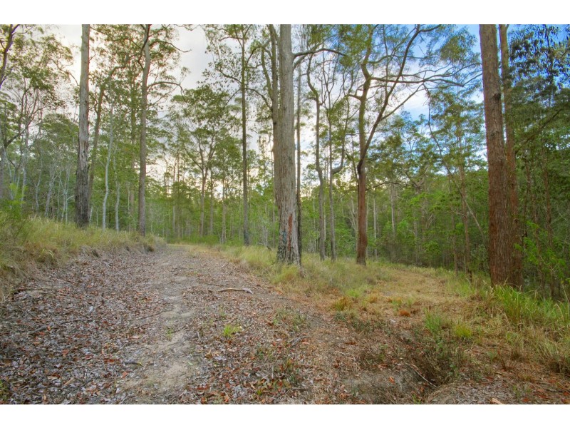 86 Calderwood Road, Landsborough QLD 4550