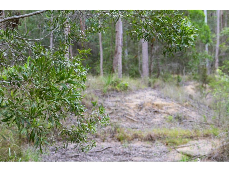 86 Calderwood Road, Landsborough QLD 4550