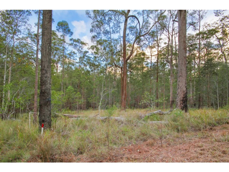 86 Calderwood Road, Landsborough QLD 4550