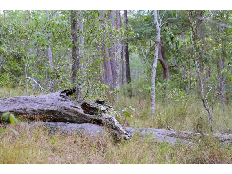 86 Calderwood Road, Landsborough QLD 4550