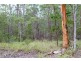 86 Calderwood Road, Landsborough QLD 4550