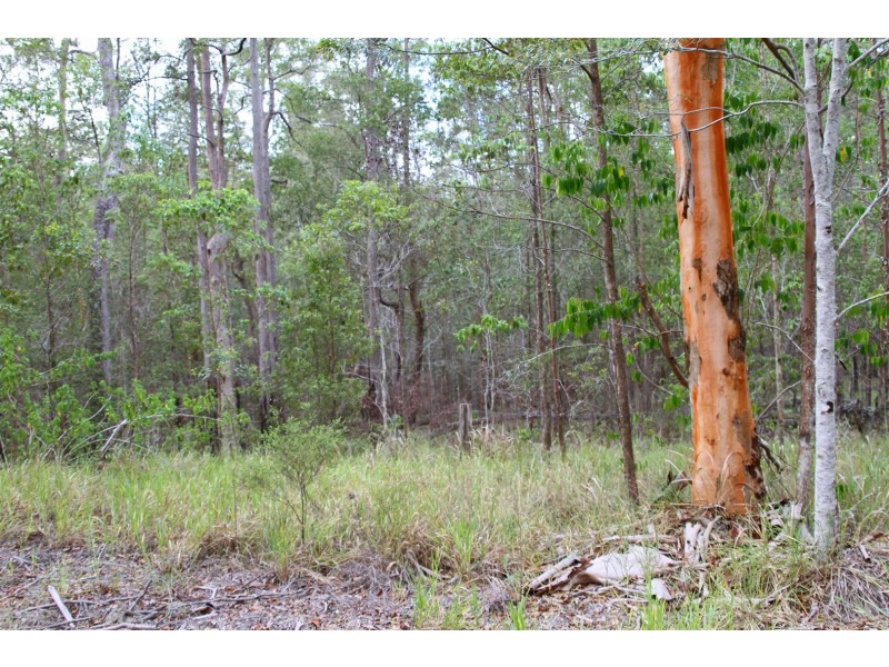 86 Calderwood Road, Landsborough QLD 4550