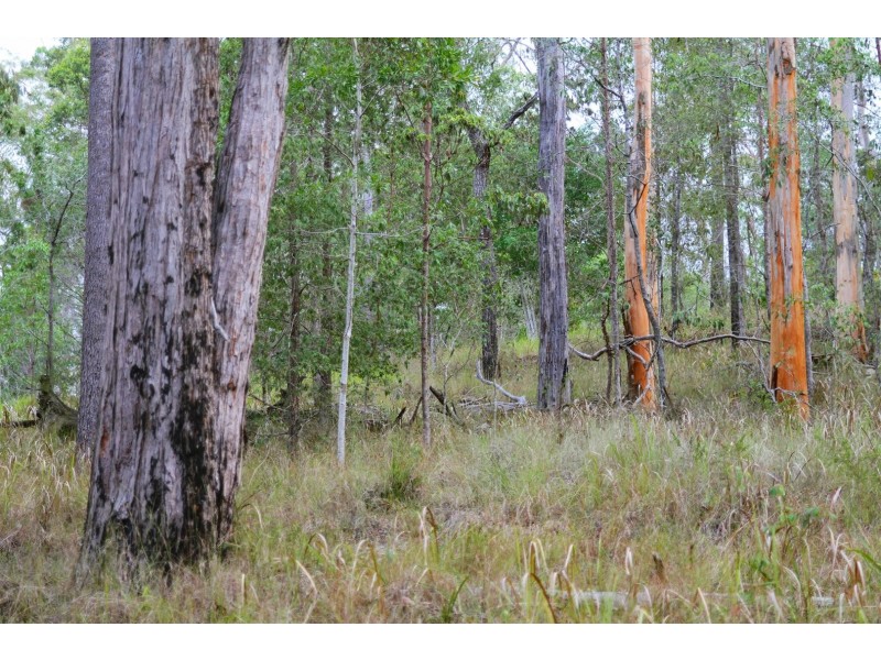 86 Calderwood Road, Landsborough QLD 4550