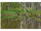 Lot 3 Pikes Road, Glass House Mountains QLD 4518