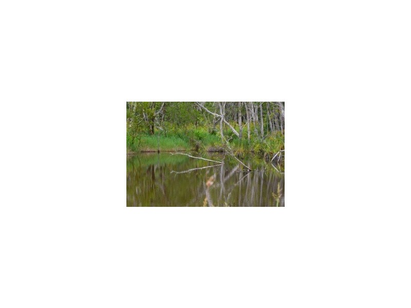 Lot 3 Pikes Road, Glass House Mountains QLD 4518