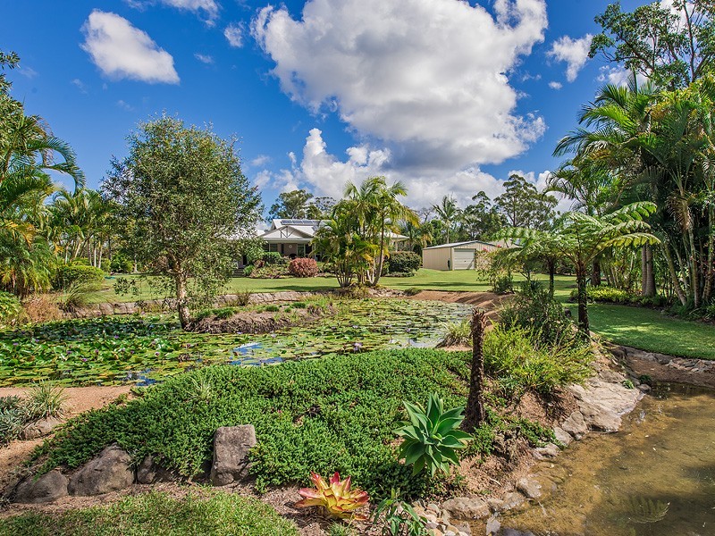 19 Wattlebird Place, Landsborough QLD 4550