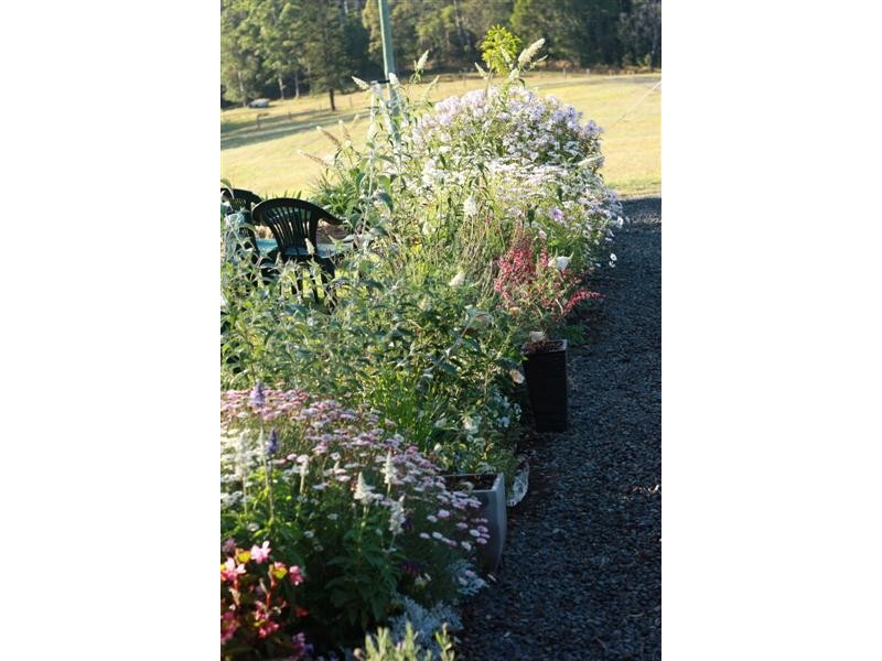 584 Macdonalds Road, Peachester QLD 4519