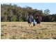 Lot 85 Palmerston Crescent, Beerwah QLD 4519