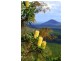 Lot 85 Palmerston Crescent, Beerwah QLD 4519